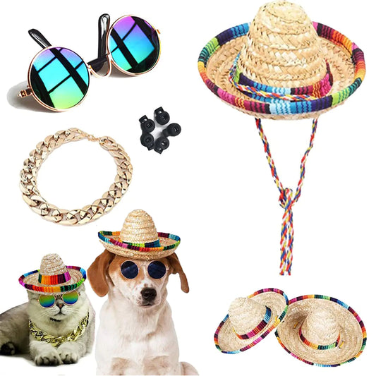 The Ultimate 10-Piece Pet Style Set!