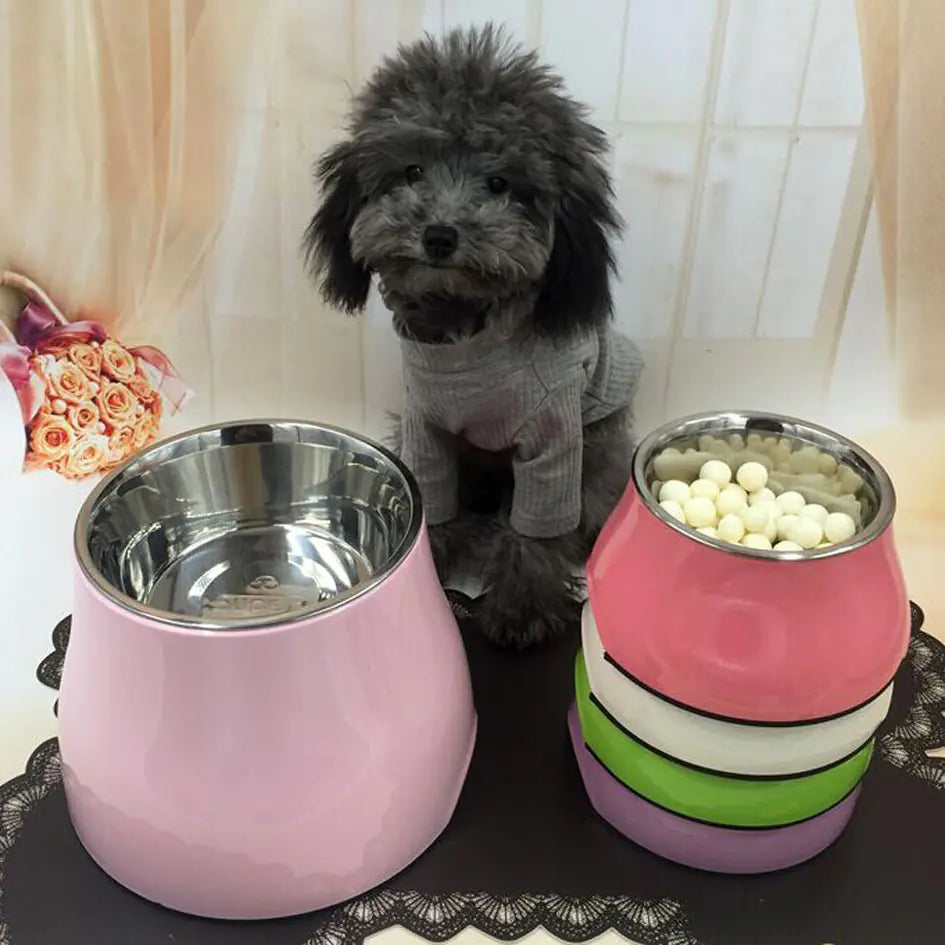 Stainless Steel Elevated Pet Food Bowl with Neck Guard